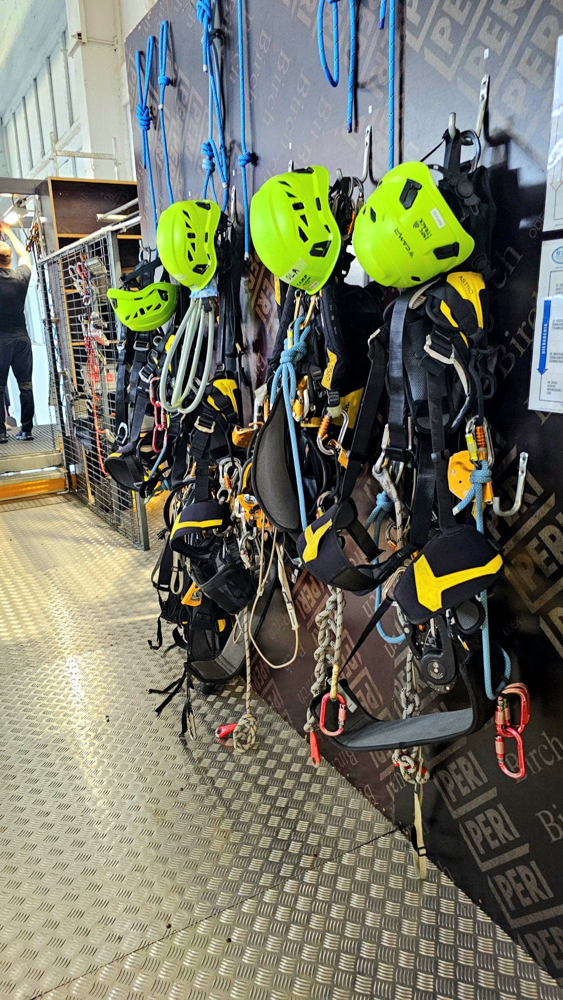 Leidenschaftliche Baumpflege