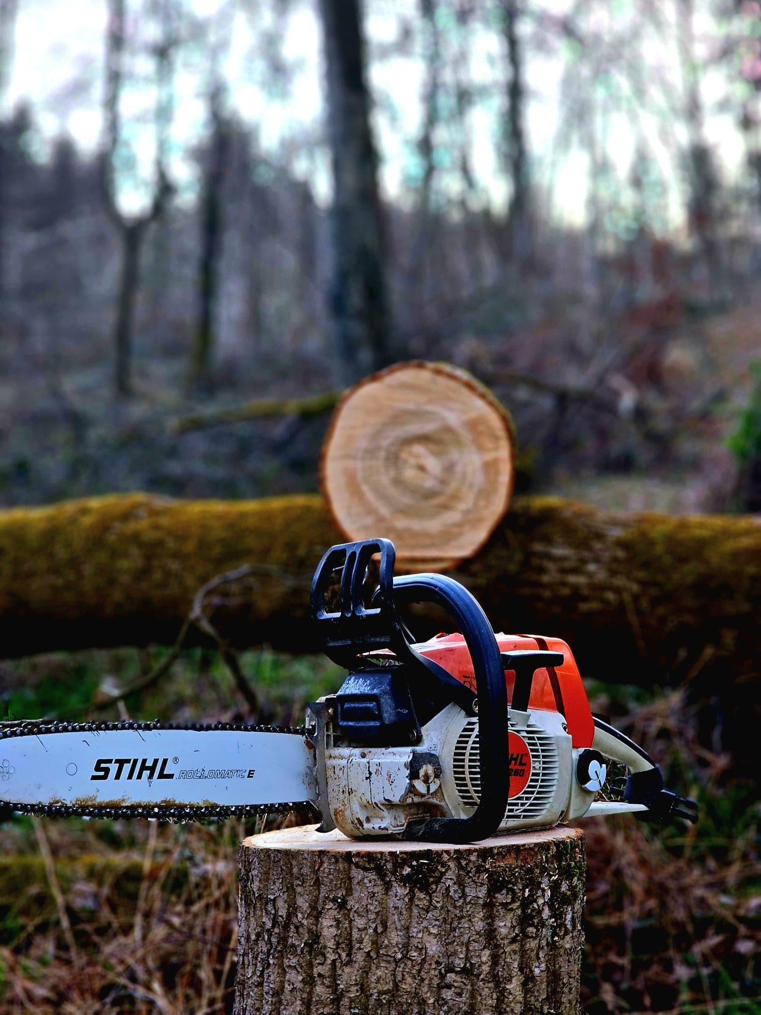 Naturverständnis und Sicherheit