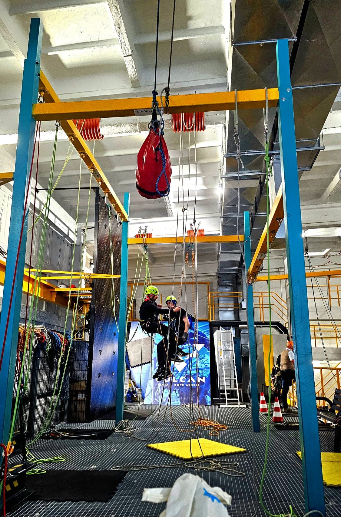 Komplette Baumpflege Service